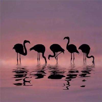 bat365中文官方网站(在线)